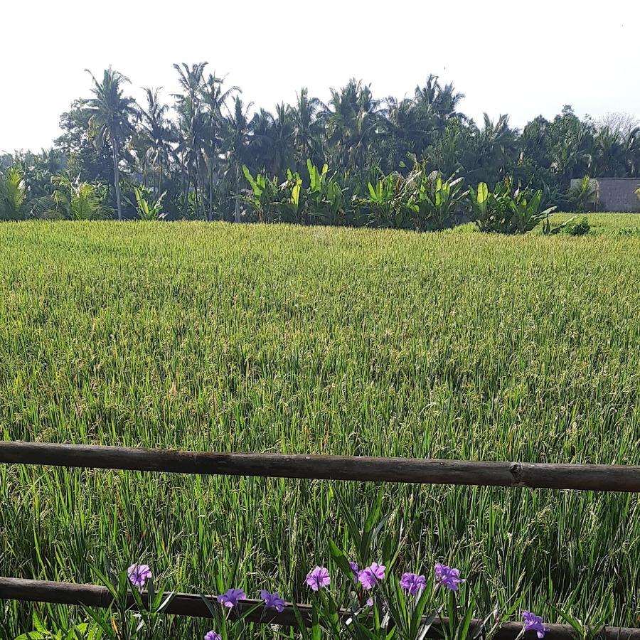 Pb Pondok Gandalangu Garden House Bali Ubud Exteriör bild
